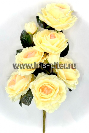 Роза горшечная 6г 2бут