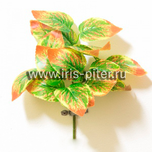 Куст горшечный малый