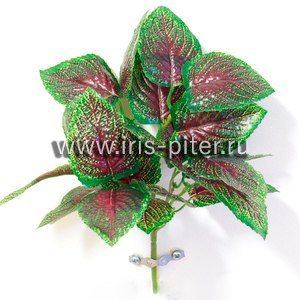 Куст горшечный