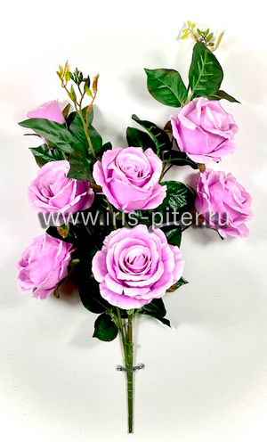 Роза горшечная 6г 1бут