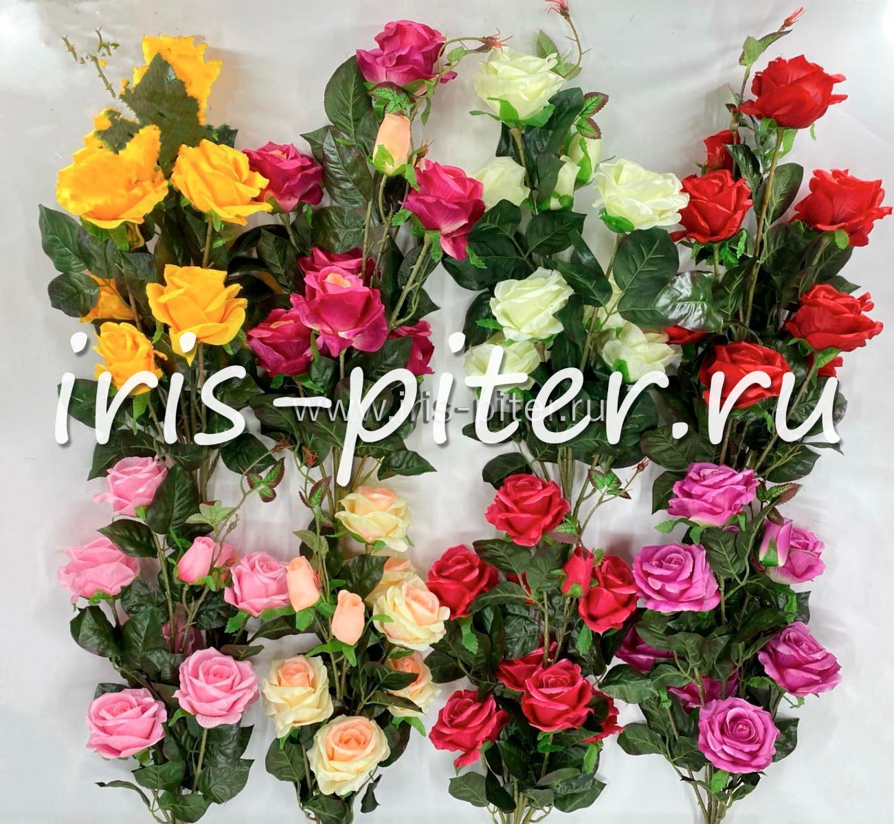 Роза горшечная 7г 2бут