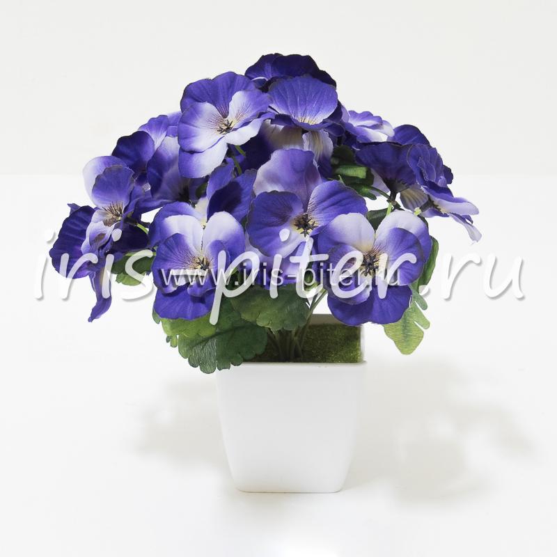 Анютины глазки горшечные 10г 