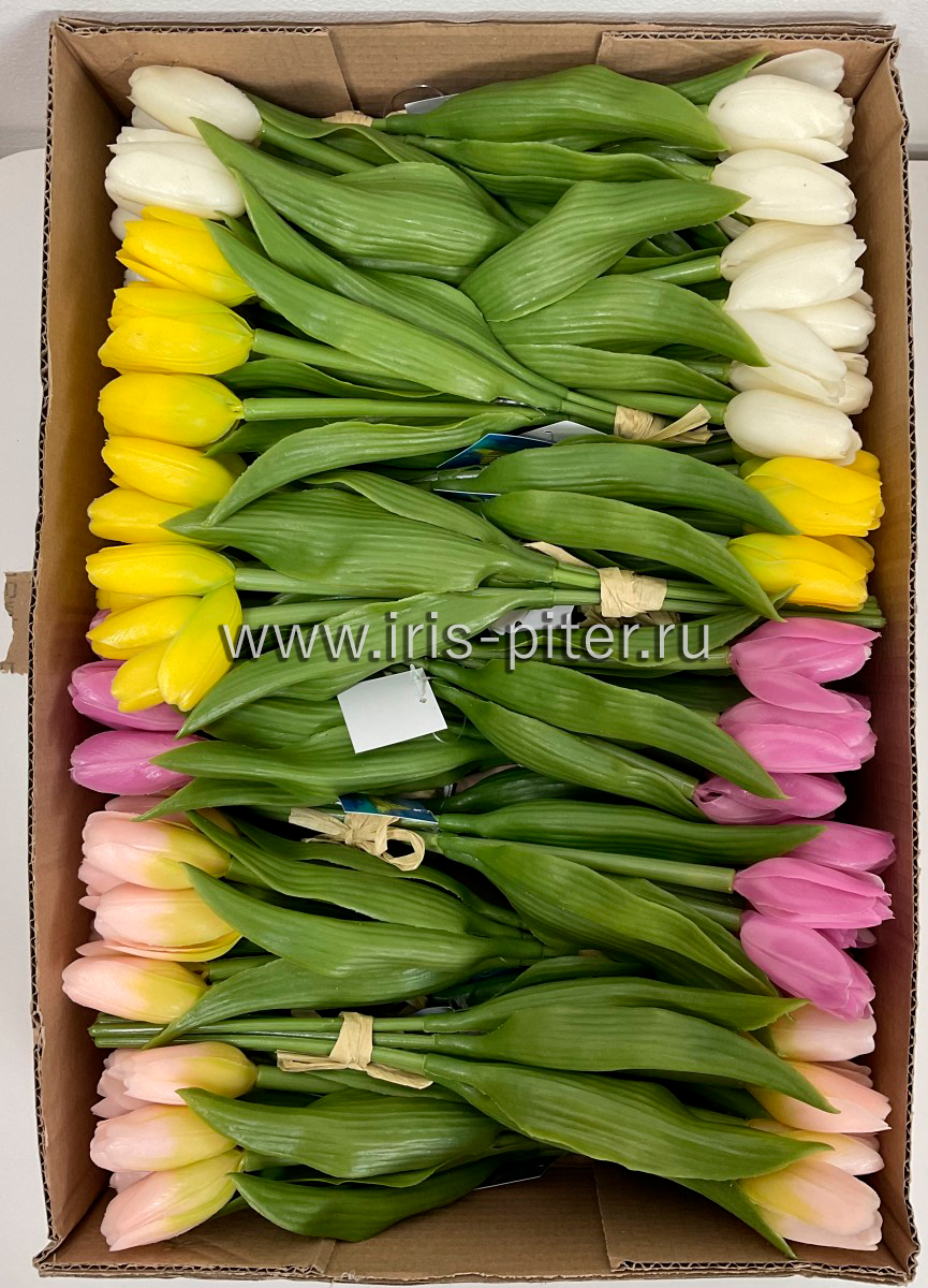 Тюльпан латекс