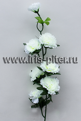 Ветка гвоздики каскад 6 г 2 бут