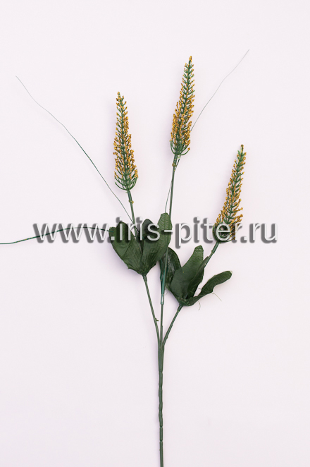 Ветка "Колос тройной золотой"