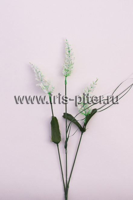 Ветка "Колос тройной"