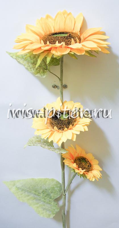 Подсолнух 3 г большой