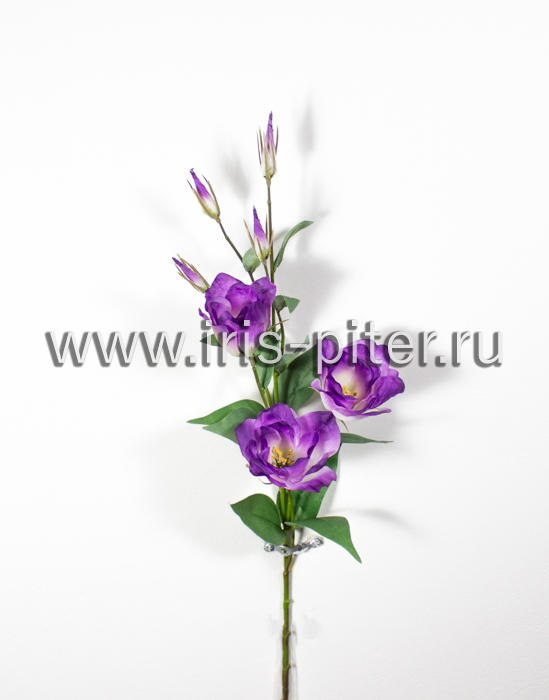 Ветка Эустома