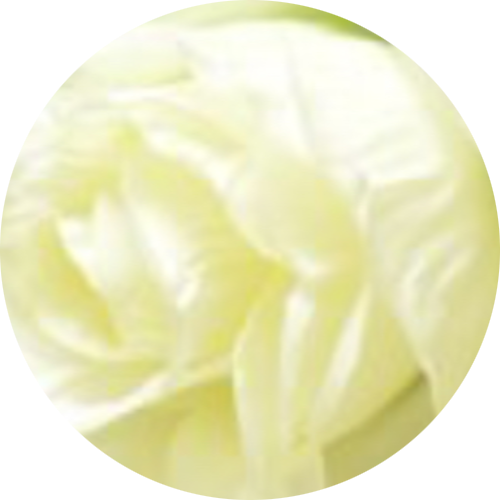 Бело-зеленый