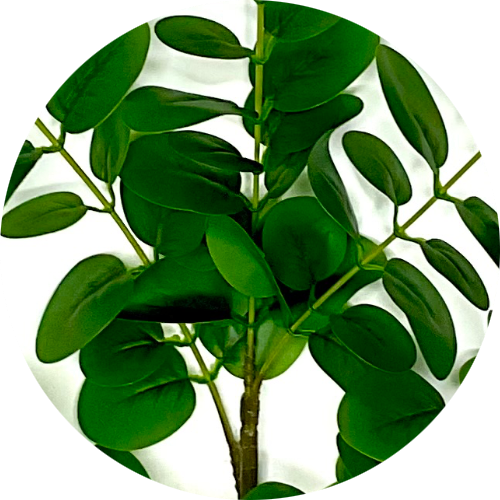 Темно-зеленый