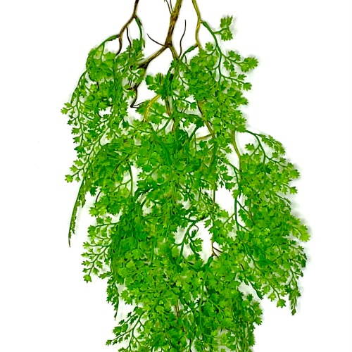 Светло-зеленый