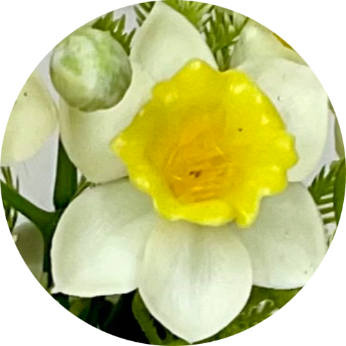 Бело-желтый