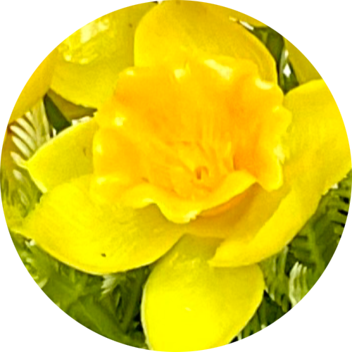 Желто-оранжевый