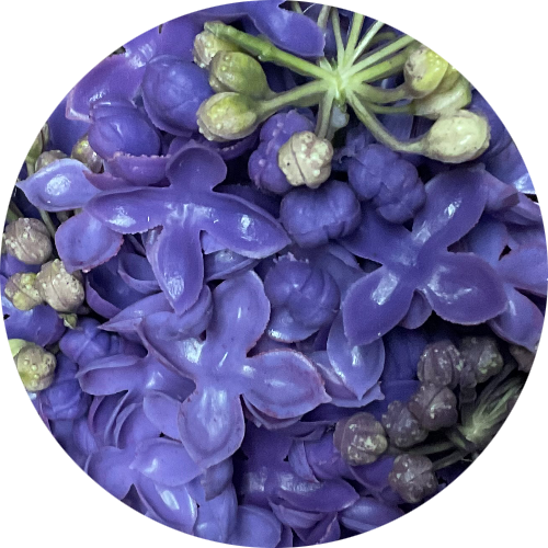 Фиолетовый