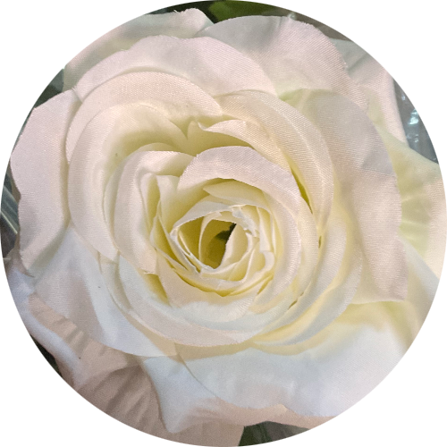 Бело-зеленый