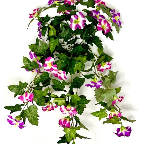 Цикламеновый