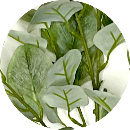 Светло-зеленый