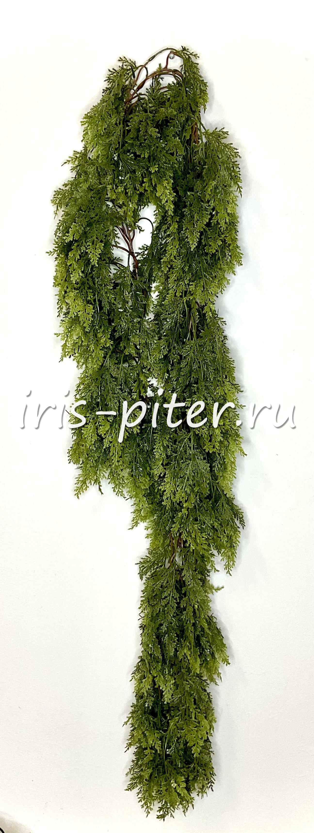 Гирлянда туя