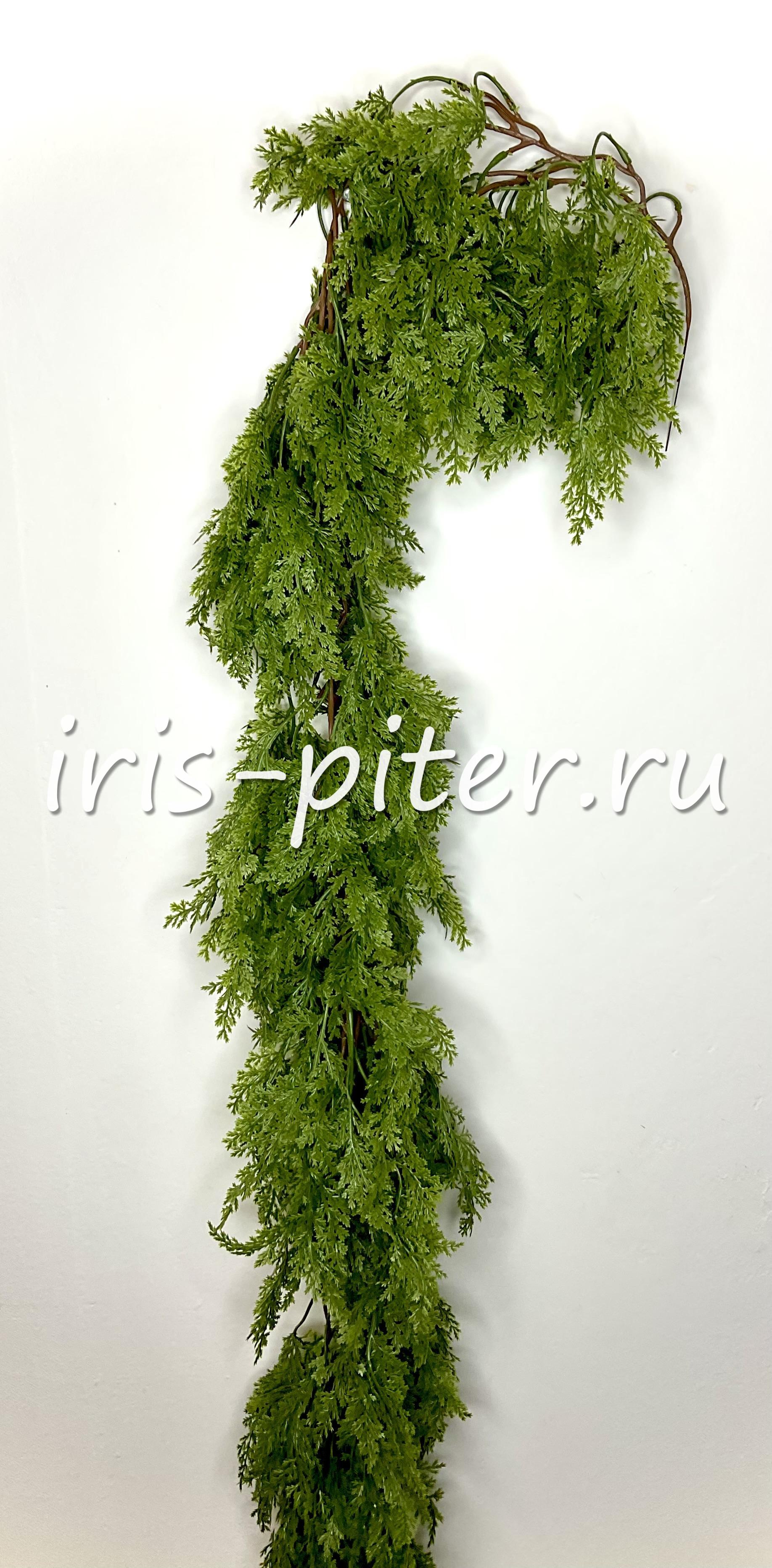 Гирлянда туя