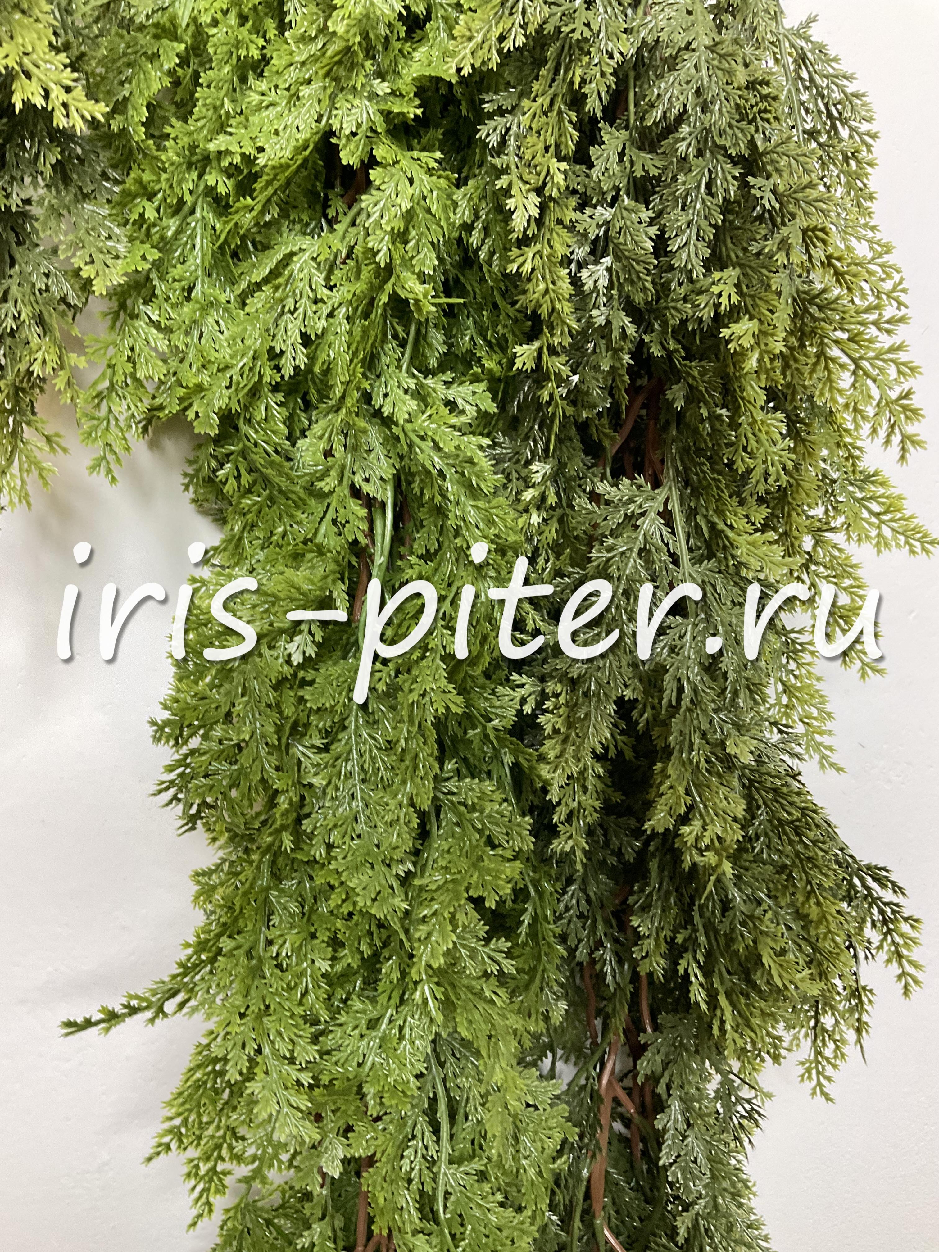 Гирлянда туя