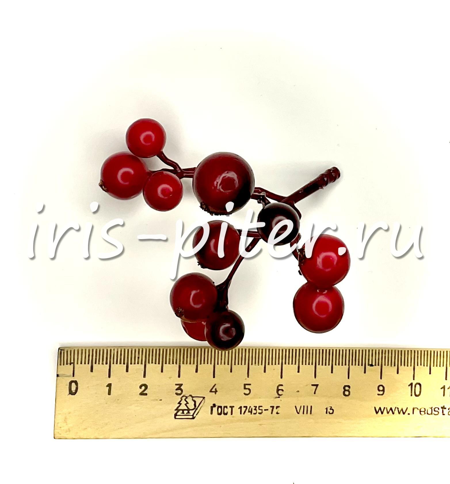 Ветка ягоды зонтик 11ягод
