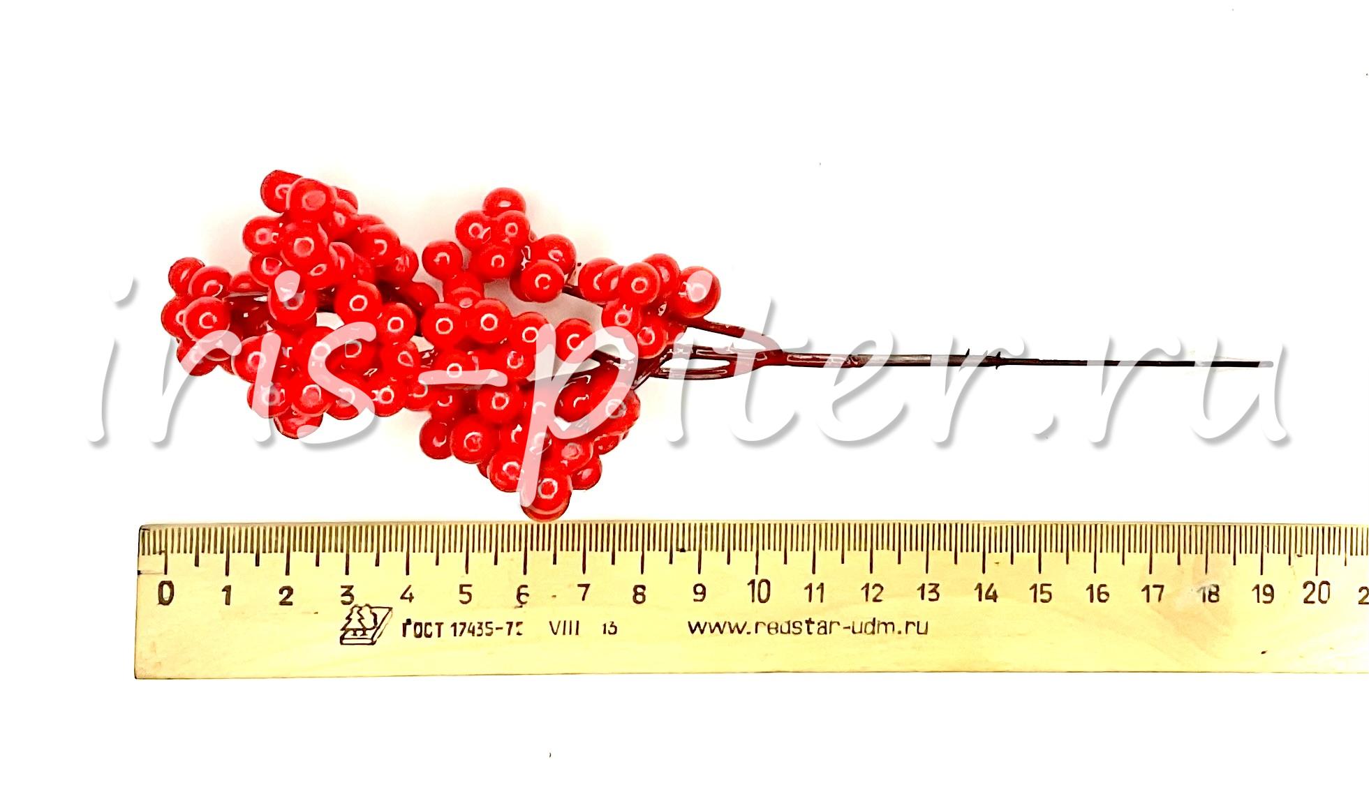 Ветка ягода