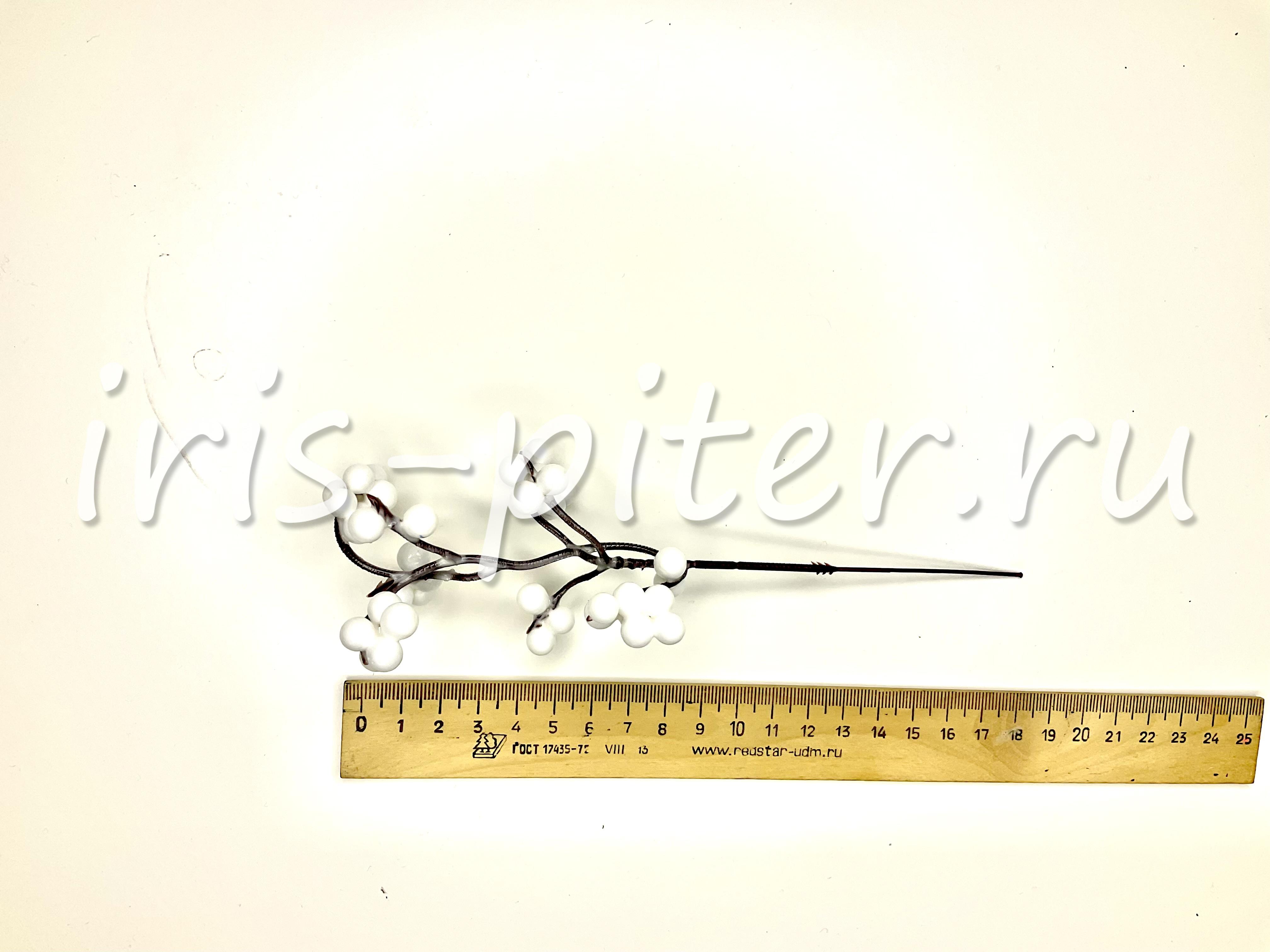 Ветка ягода