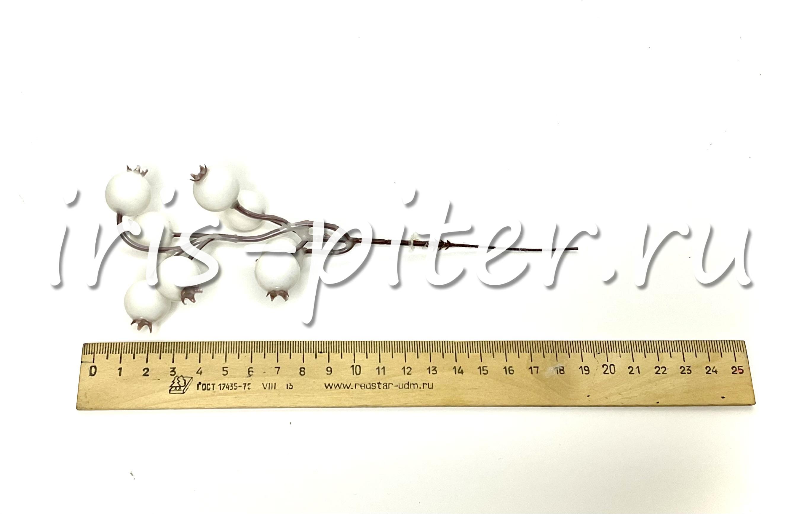 Ветка ягоды рябина белые 