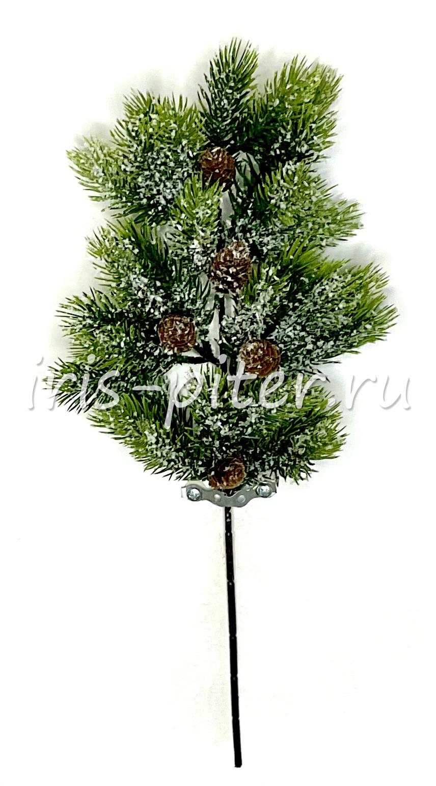 Ветка  заснеженная 5шишек