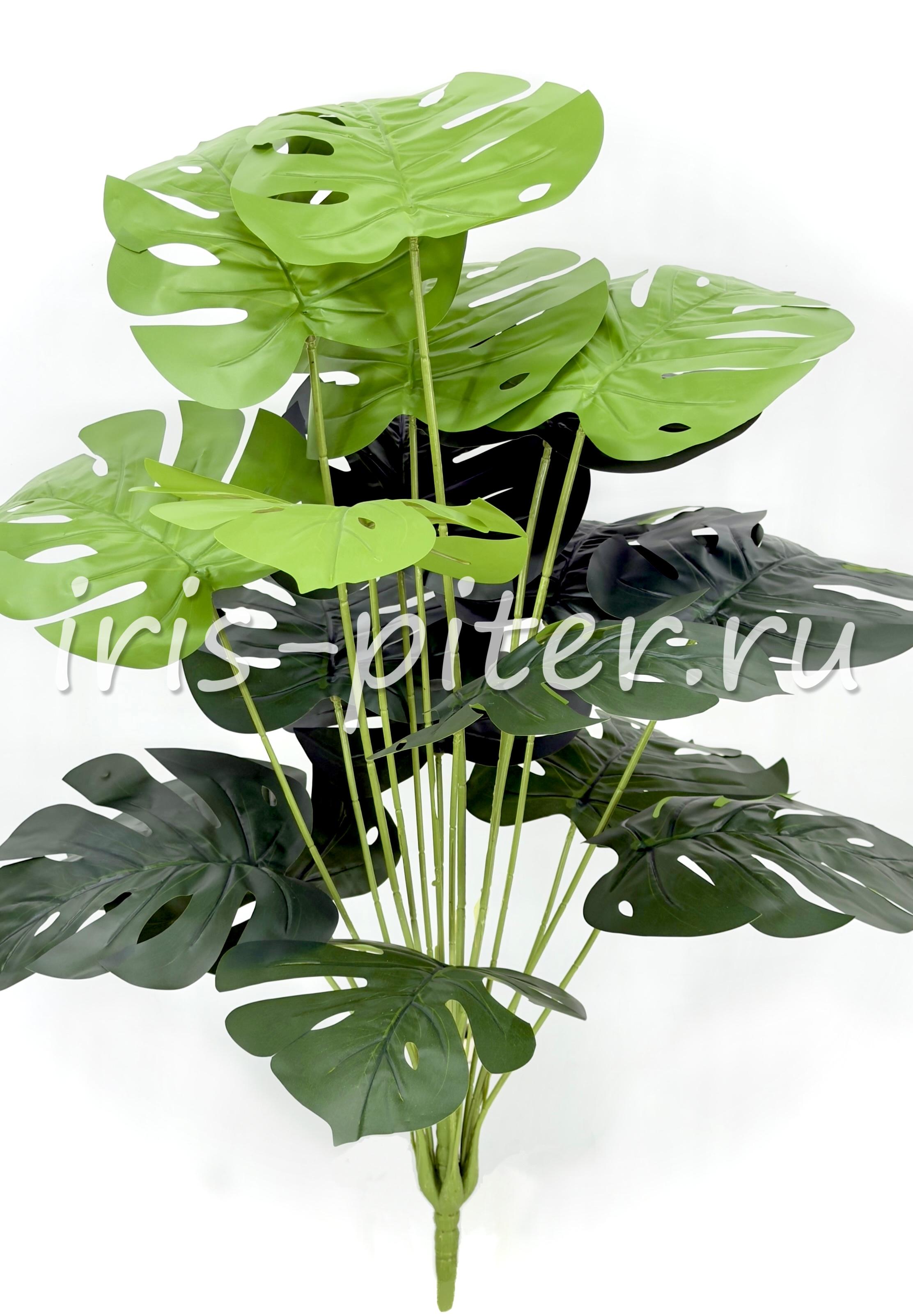 монстера сборная 18листов 