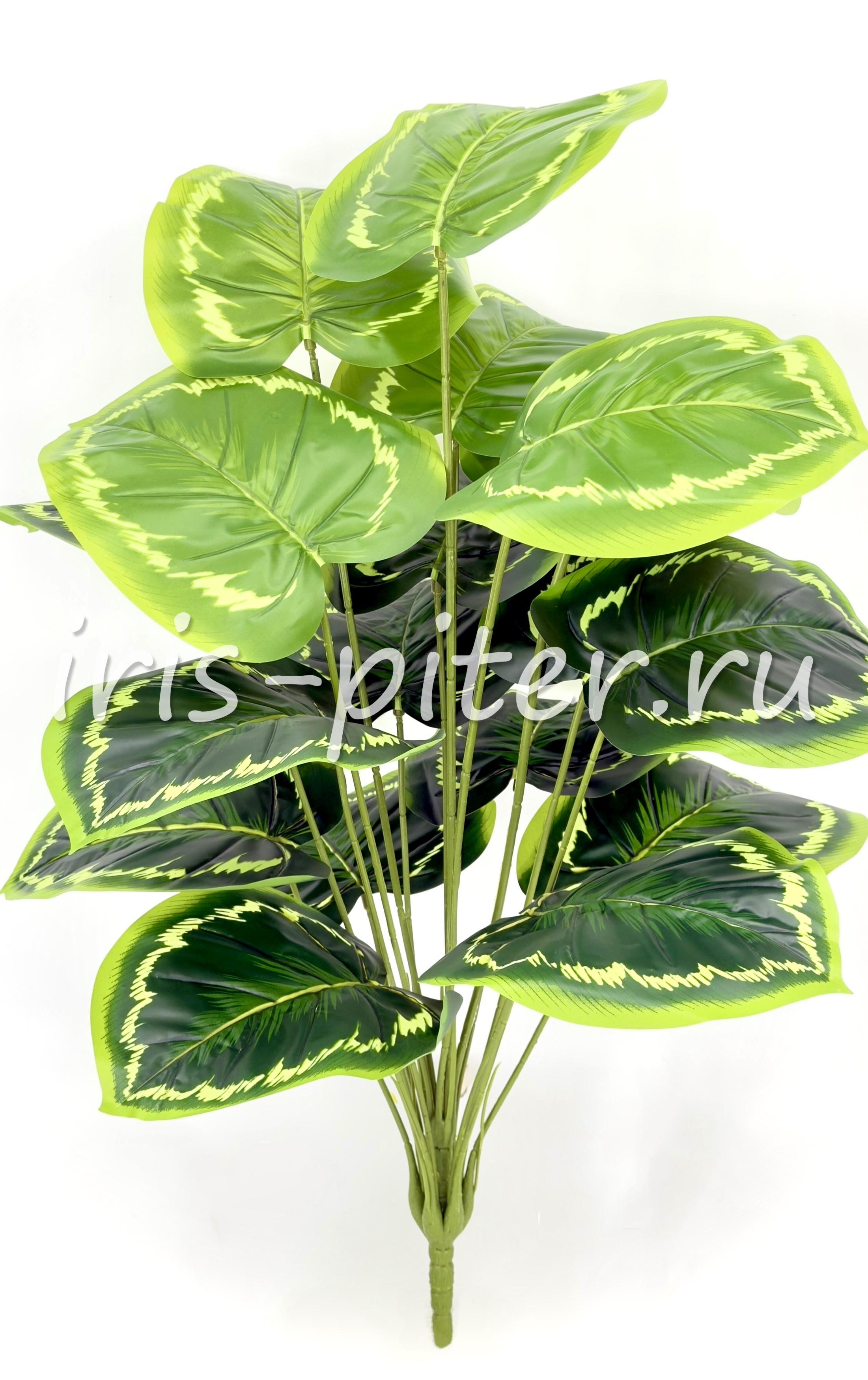 бегония сборная 18 листов