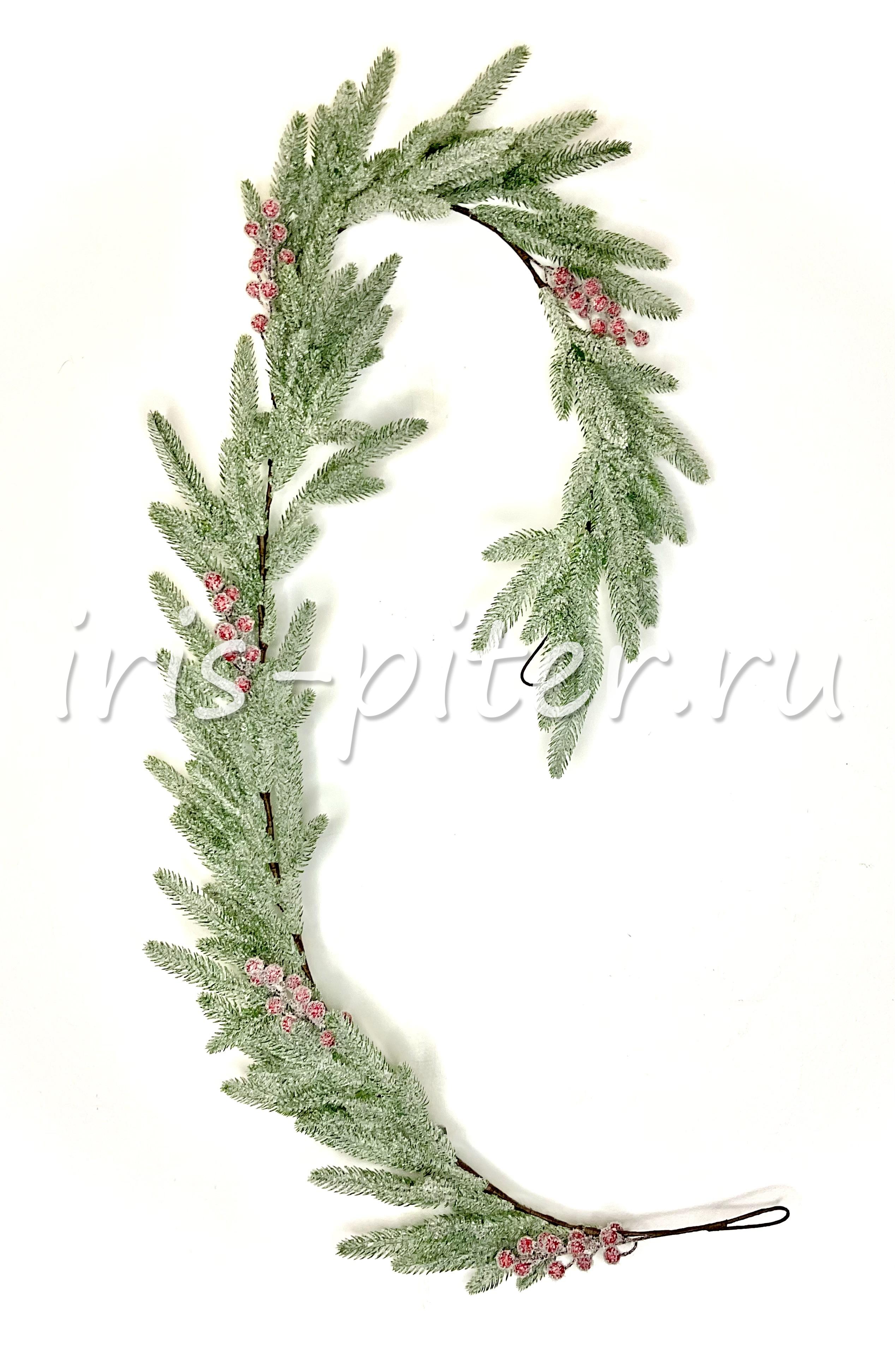 лиана ель с ягодами