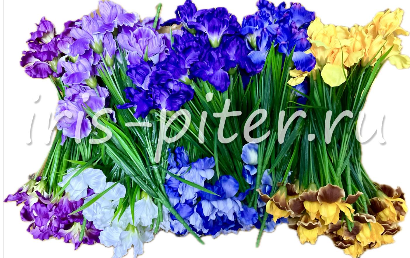 Букет ирис 6г