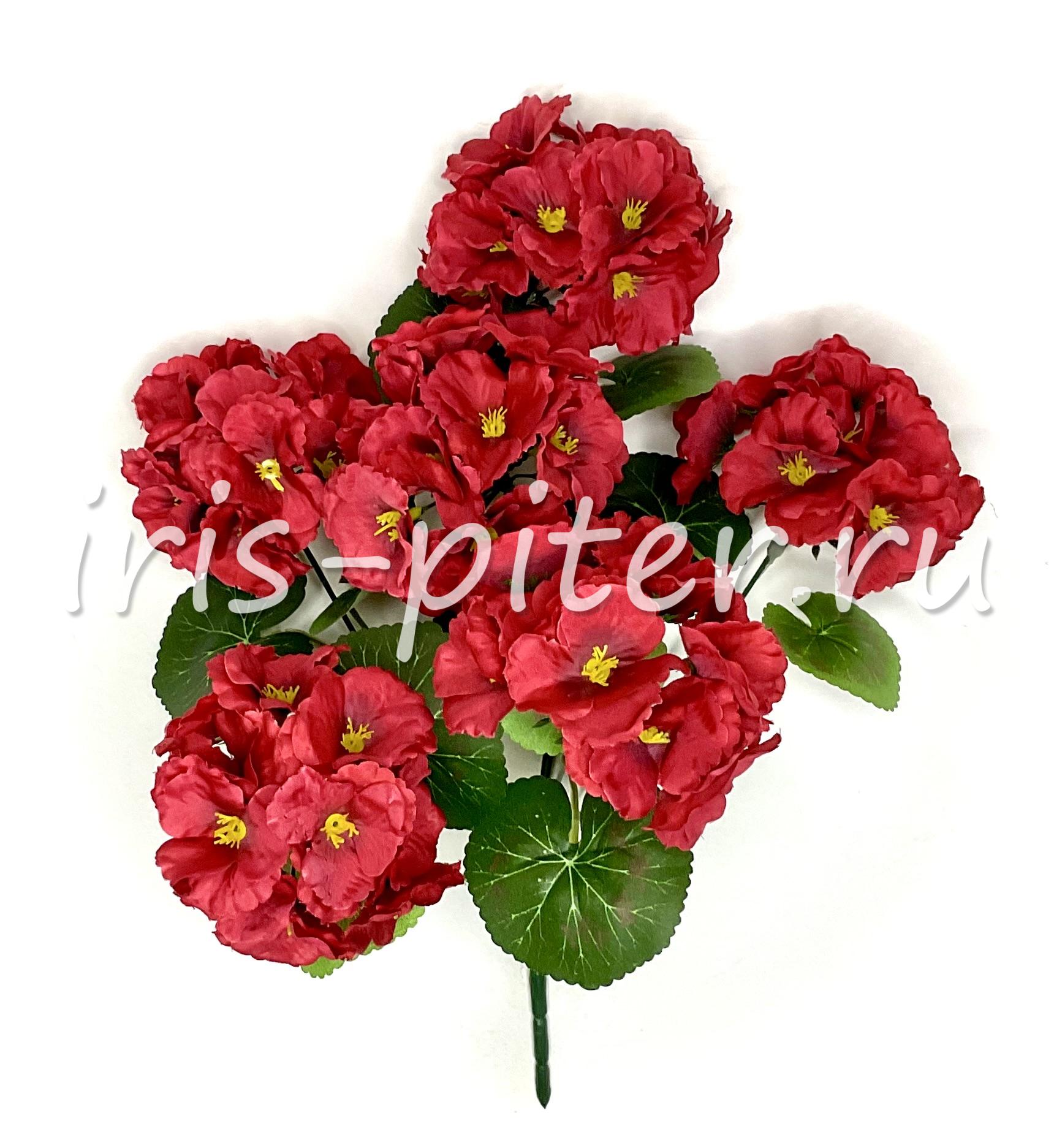 Букет герань 6г 