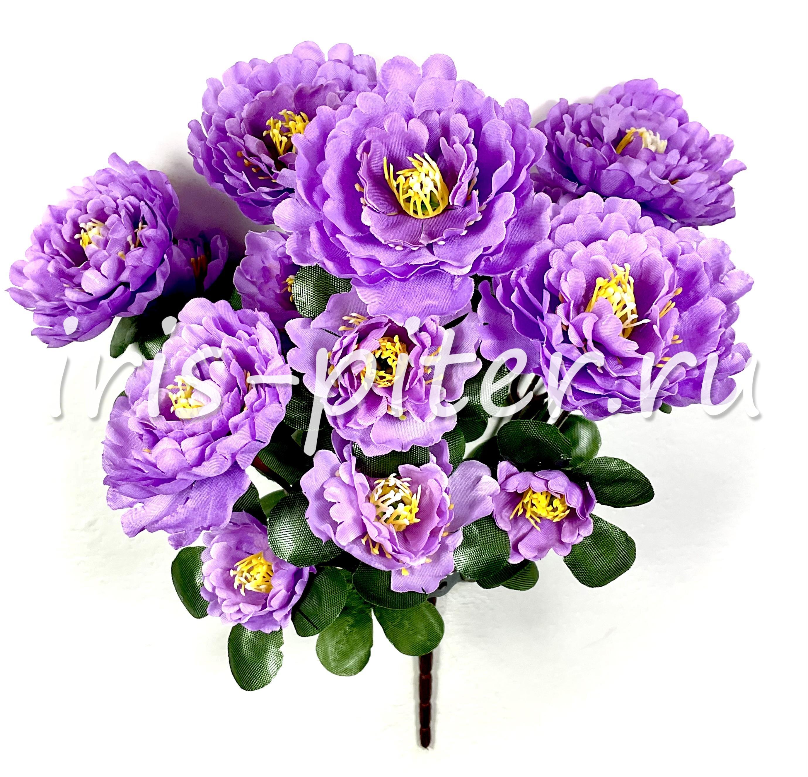 Букет пион 6г 12бут