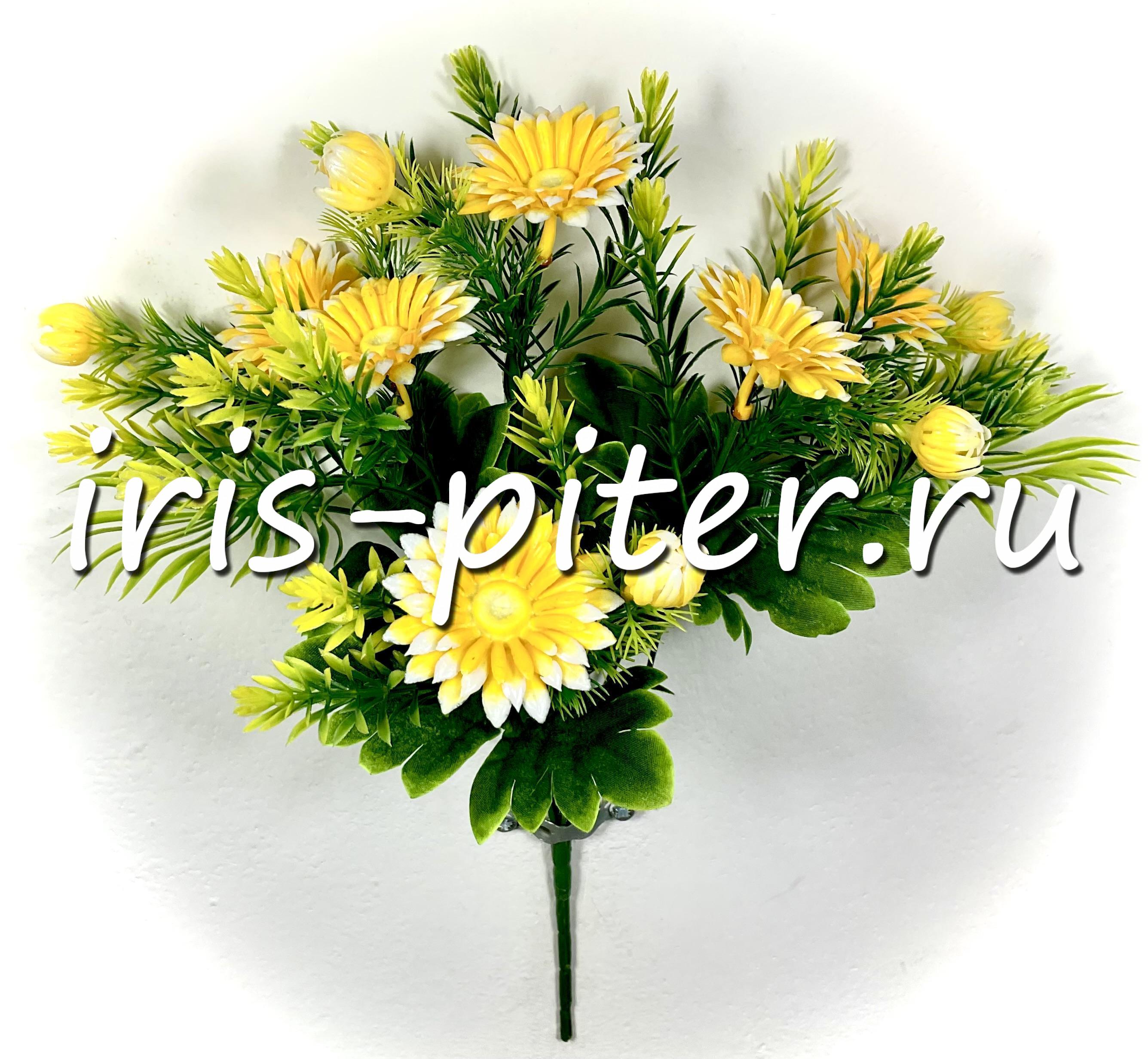 Букет ромашка 6г пластм с бутонами