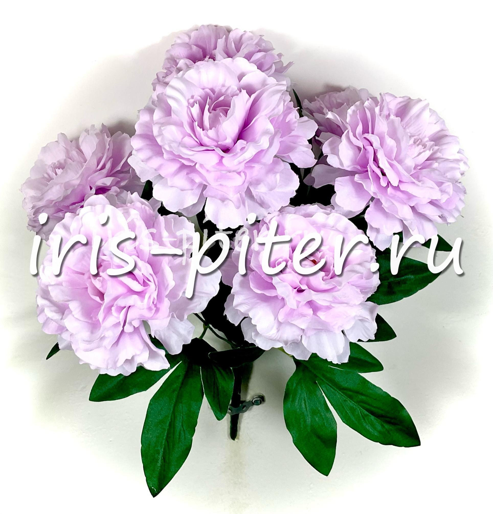 Букет пион 7г