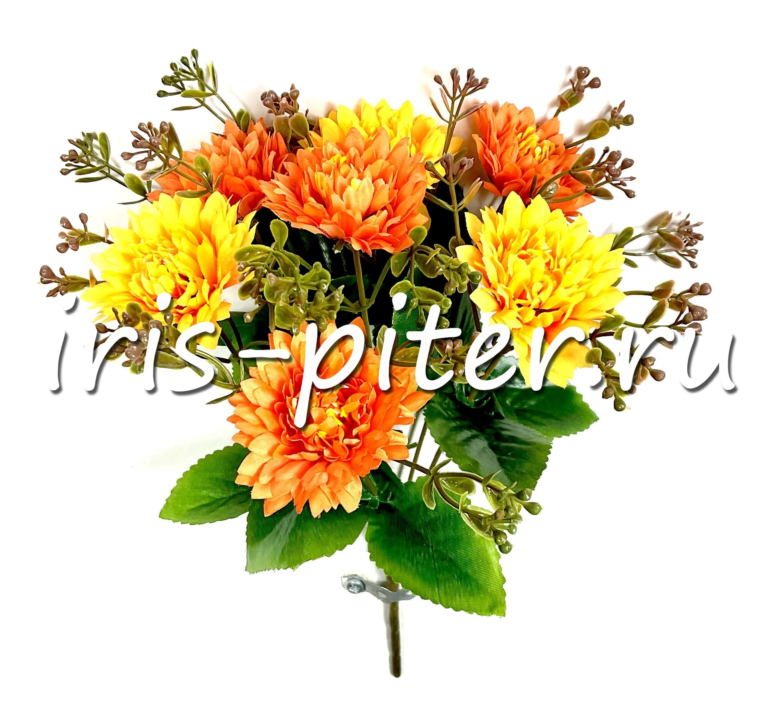 Букет георгин 7г двухцветный