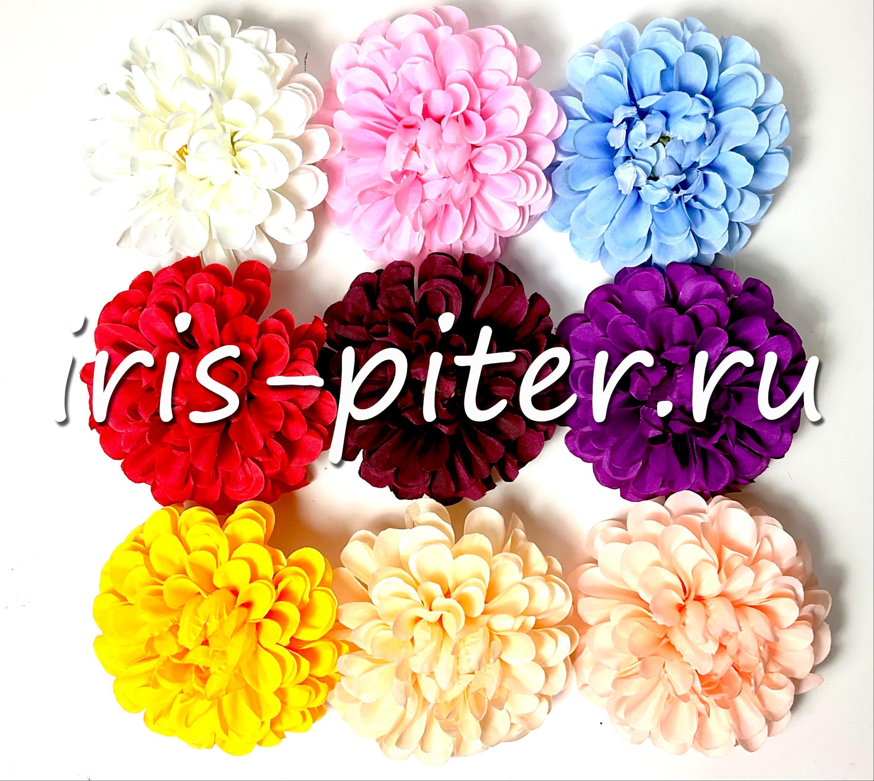 Голова георгина 