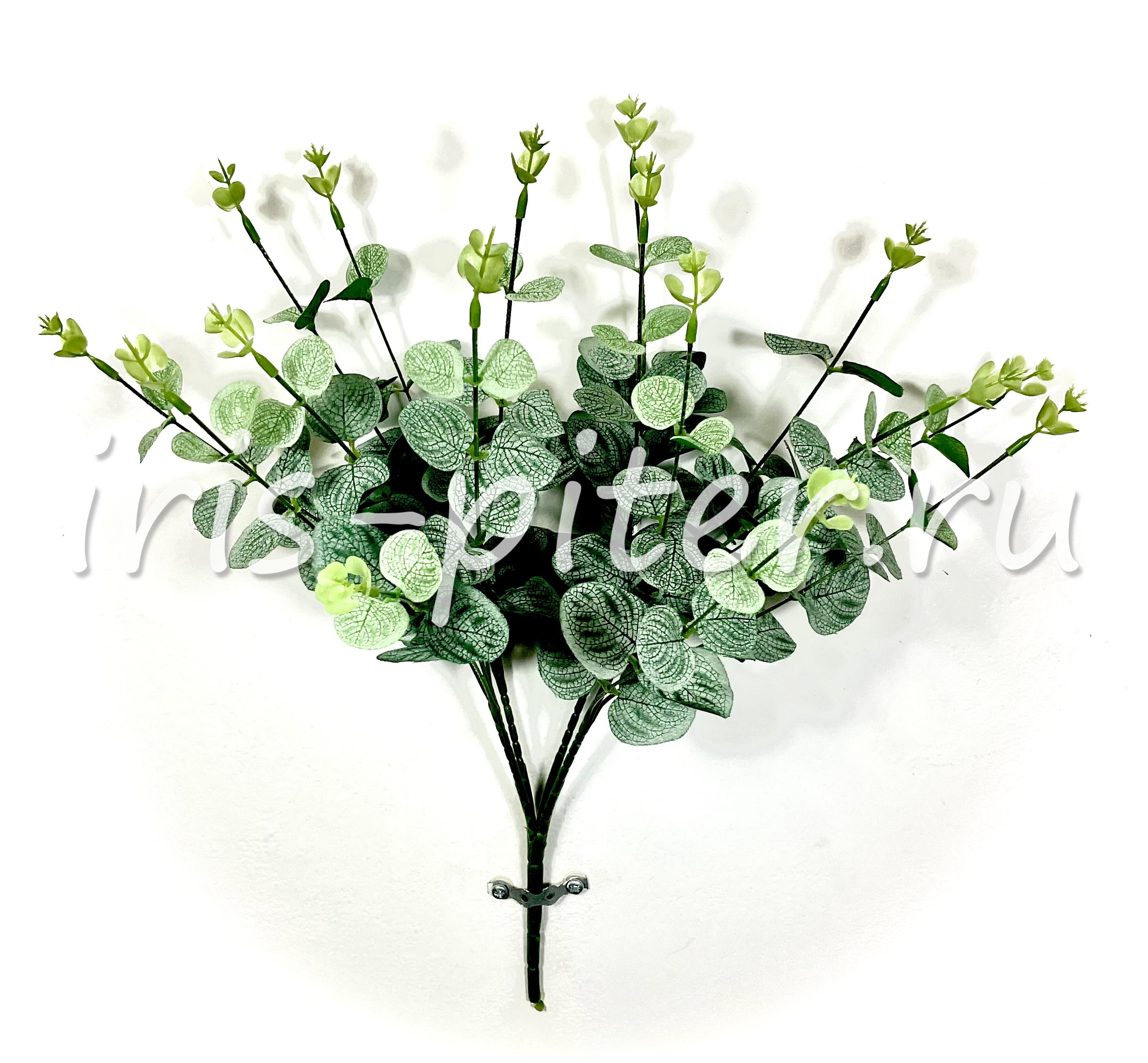 Куст эвкалипт 16вет 