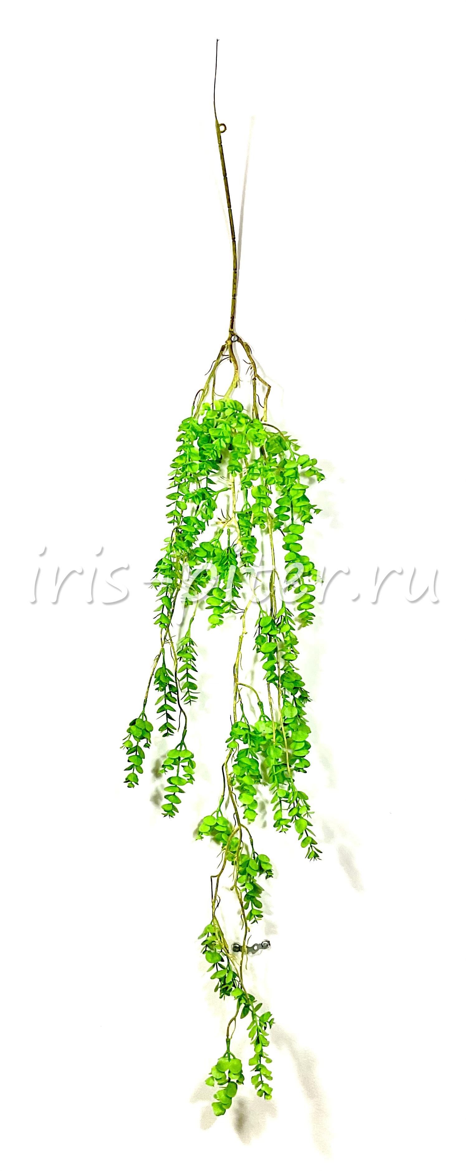 Ветка эвкалипт 150см