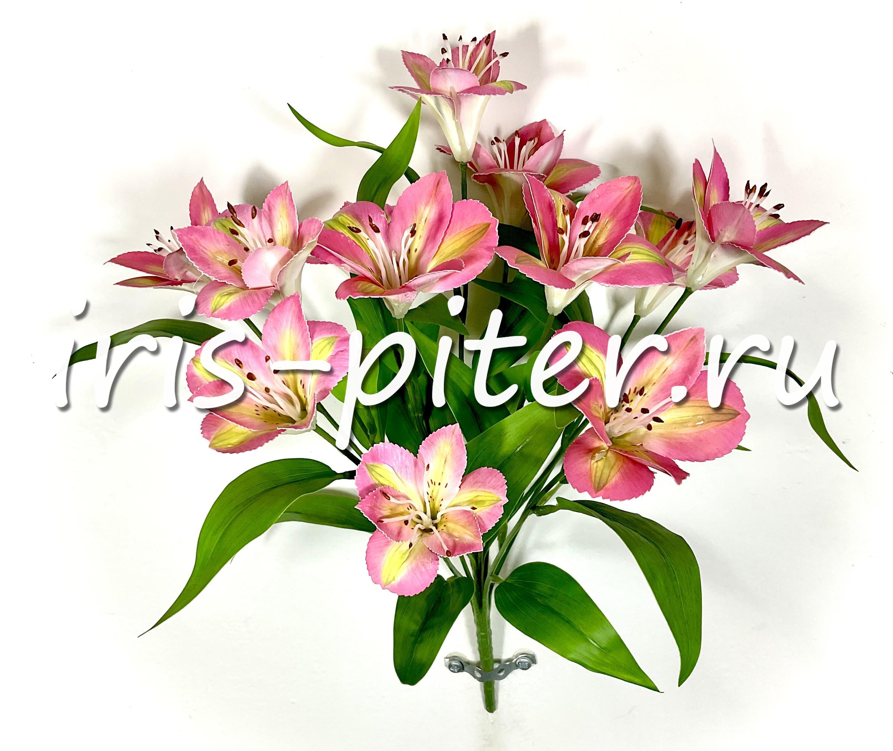 Альстромерия 12г