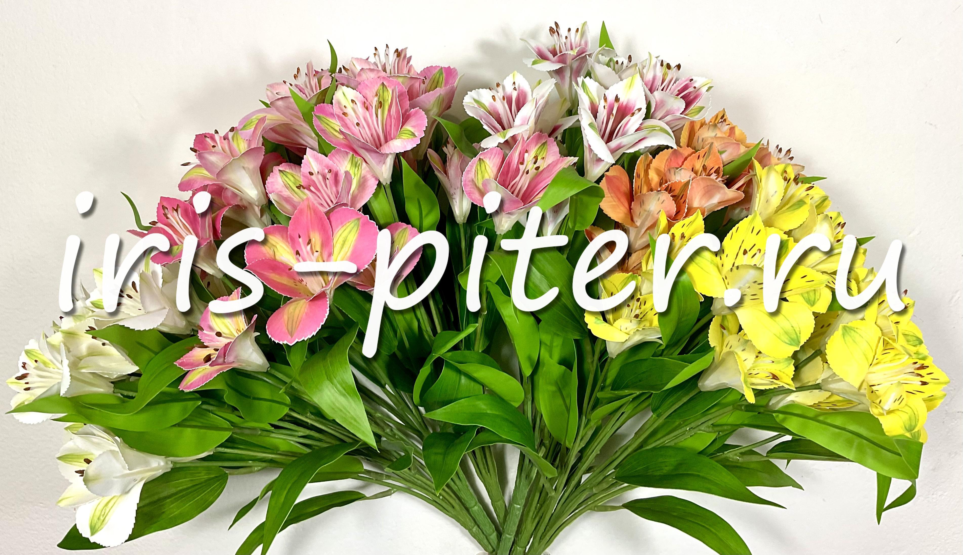 Альстромерия 12г