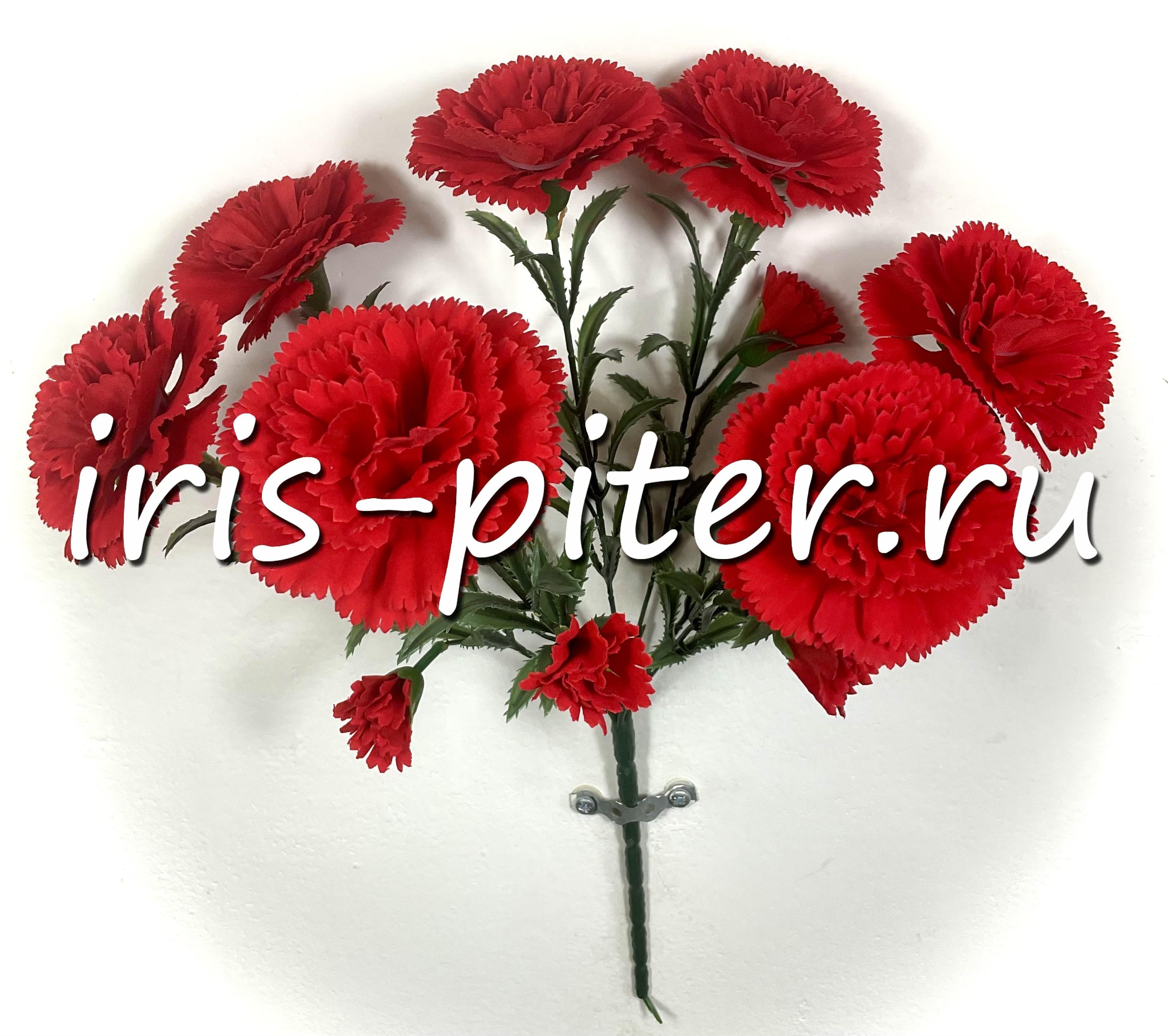 Букет гвоздика 7г 7бут бархатная