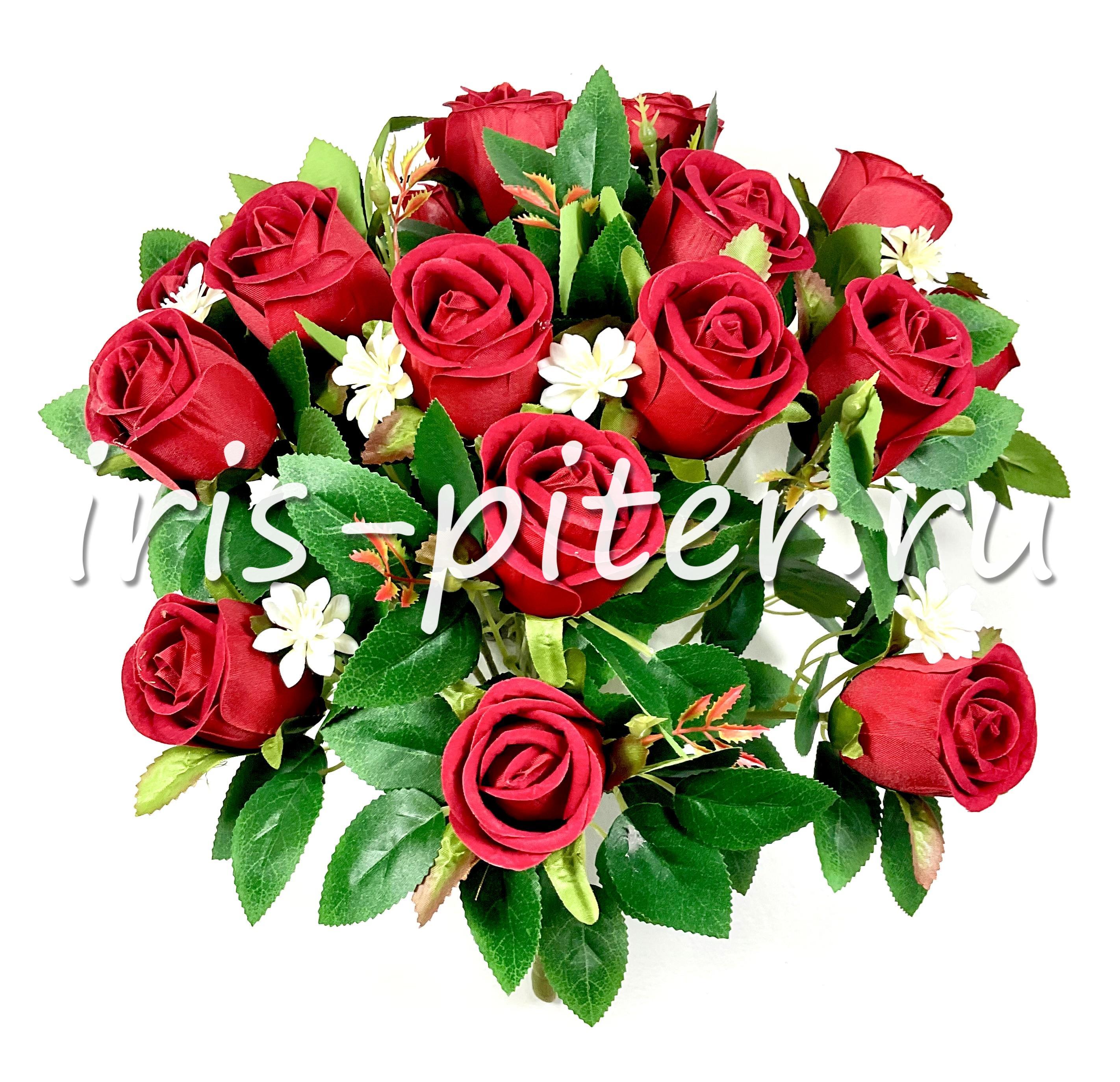 Букет роза 18г бут барх с маргариткой