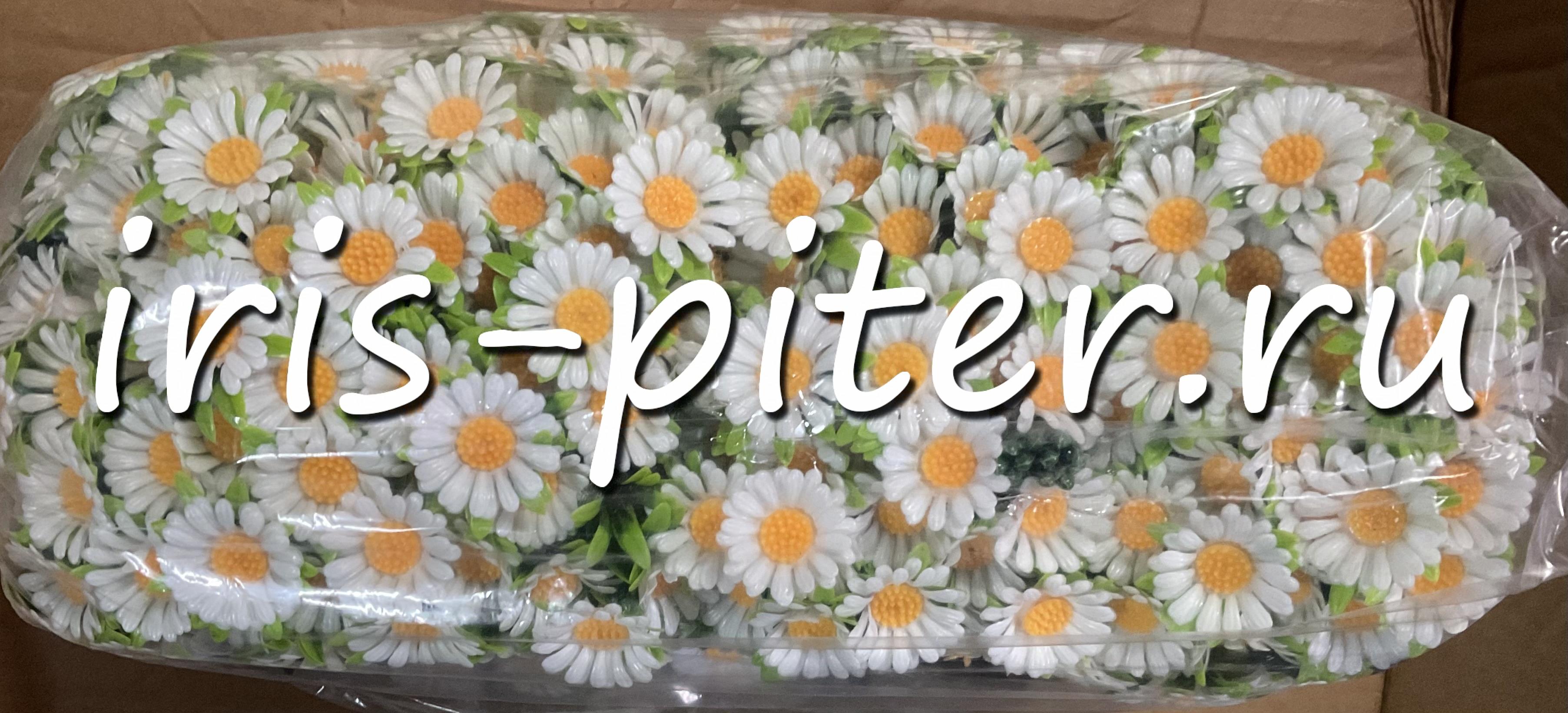 Букет ромашка 5г белая