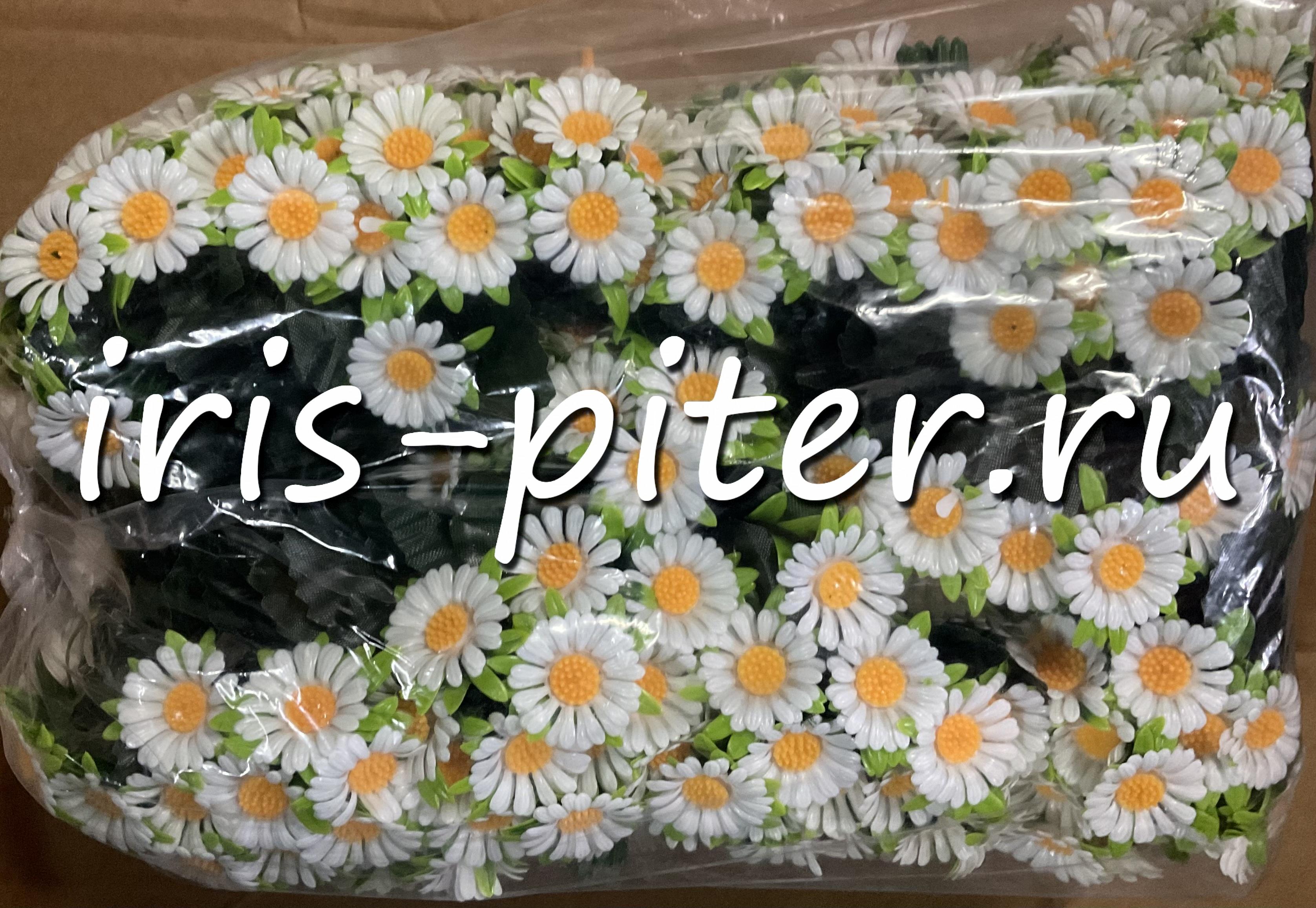 Букет ромашка 5г белая