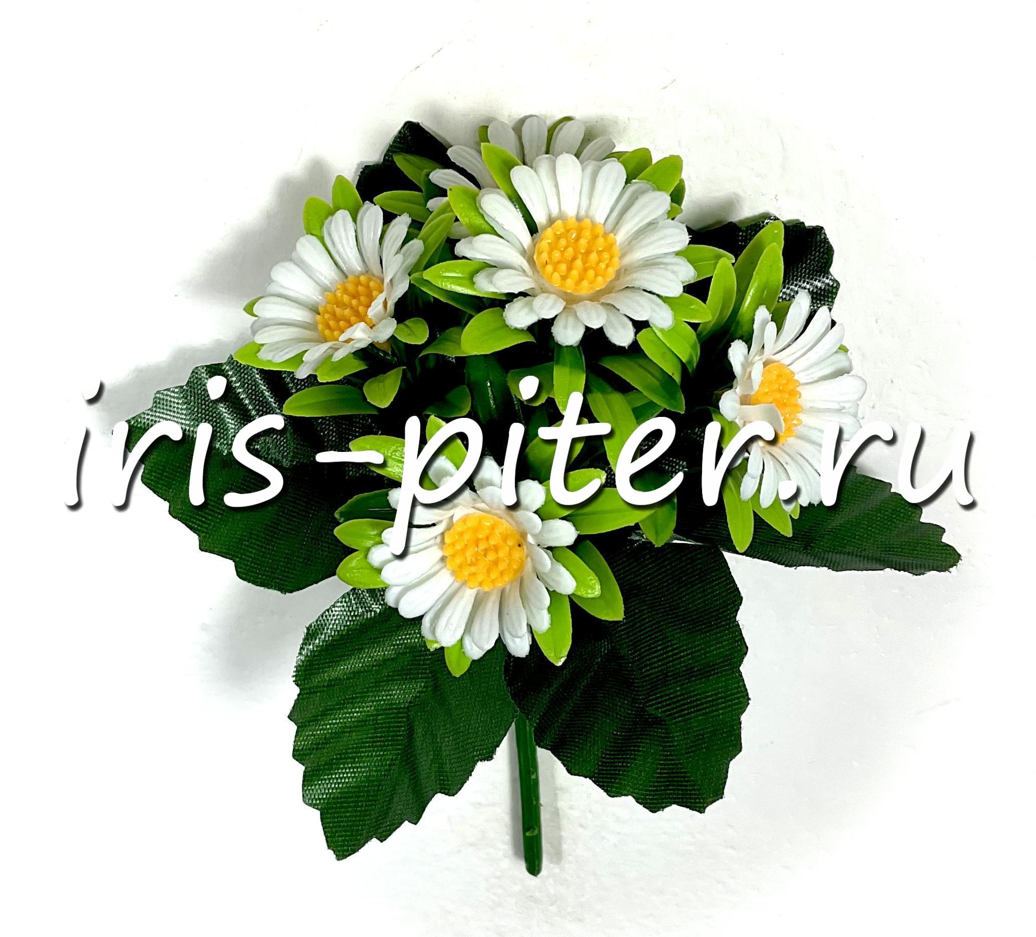 Букет ромашка 5г белая