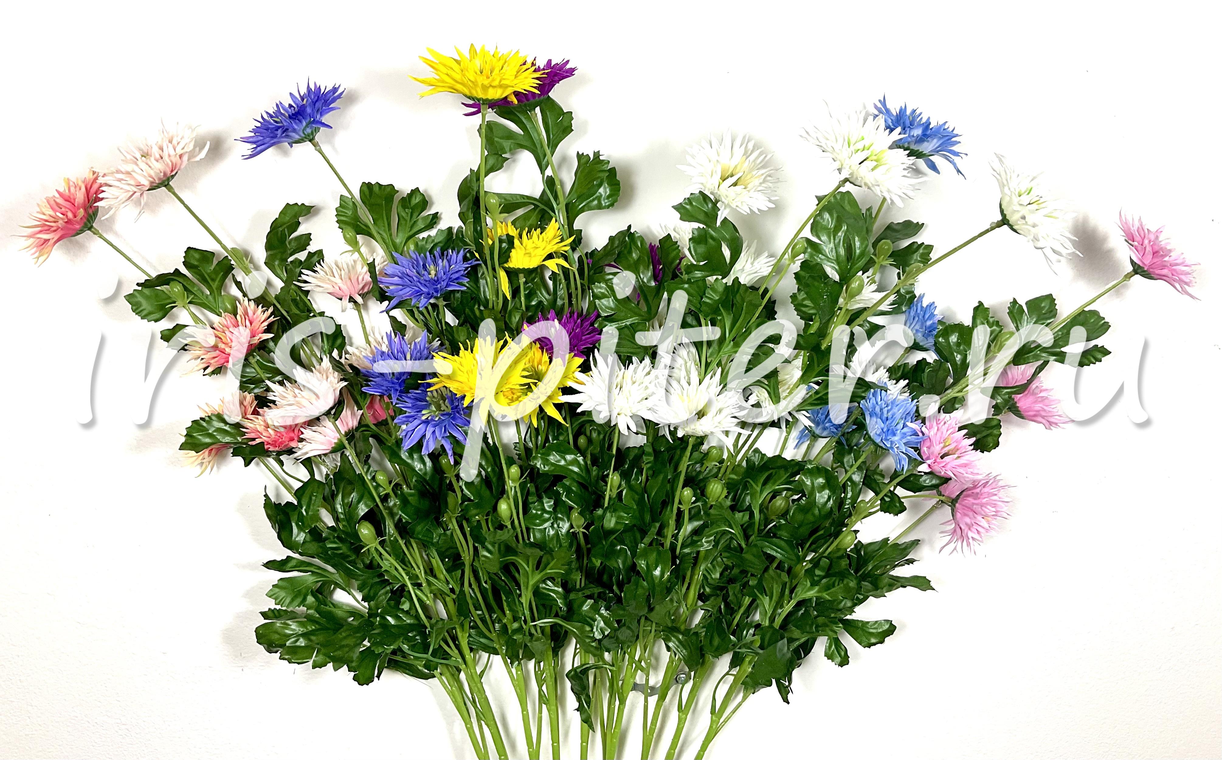 Ветка астра