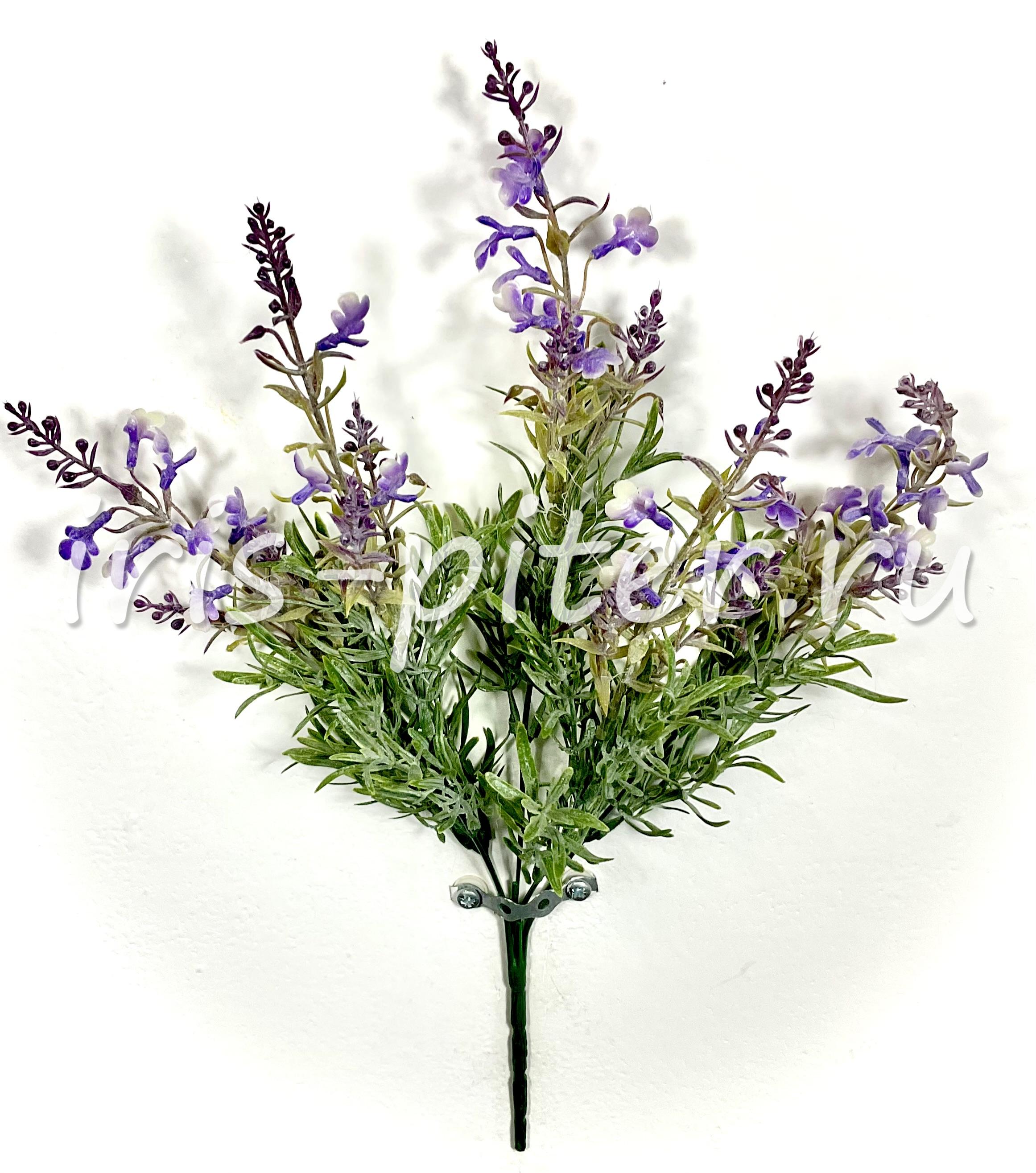 шалфей 5вет с напылением 